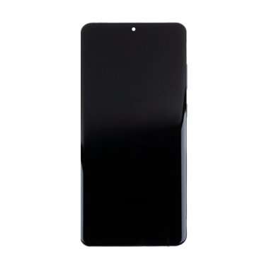 Дисплейный модуль с тачскрином для Samsung Galaxy S20 Plus (G985F) (серый) (TFT) — 2